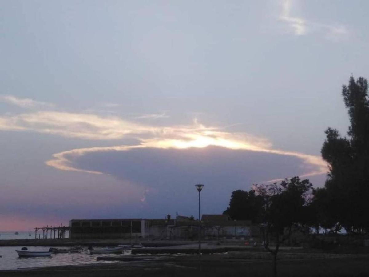 App Enterprise Umag Exterior foto