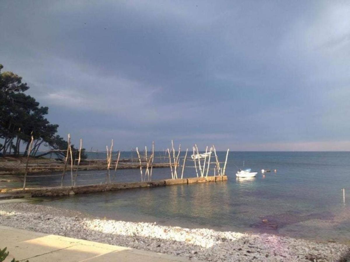 App Enterprise Umag Exterior foto